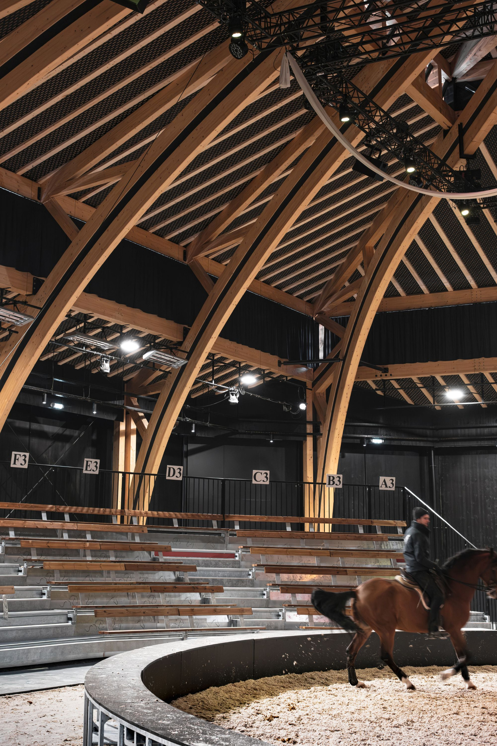 Reithalle: Holzstruktur für das spektakuläre Gewölbe.