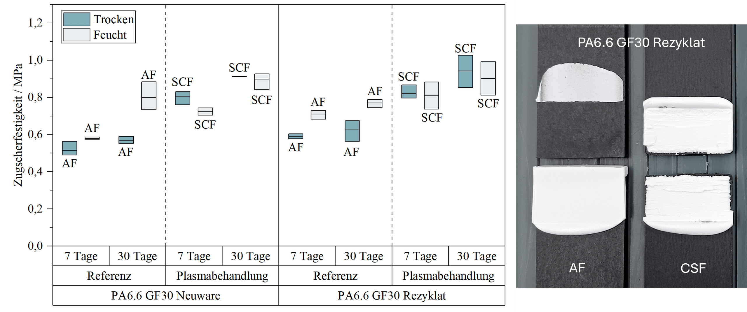 Rezyklat Diagramm und Fotostrecke zeigen die Zugscherfestigkeit von PA sechs Komma sechs Glasfaser dreißig Neuware und Rezyklat nach Referenz und Plasmabehandlung nach sieben und dreißig Tagen, jeweils trocken und feucht. Plasmabehandlung erhöht die Scherverbindung deutlich, SCF ergibt höhere Werte als AF und feuchte Proben liegen meist unter den trockenen. Fotos zeigen aufgeklebte Prüfflächen mit glatter AF und kräftigerer, deckender CSF-Auflage.